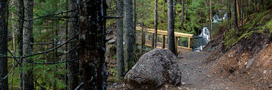 A bridge of the Copper Mine Trail