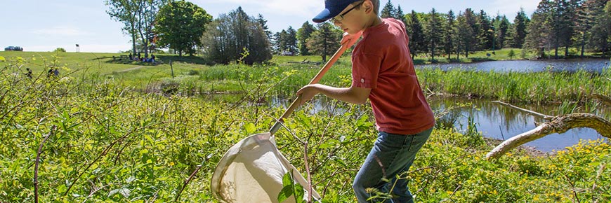 A young boy in a field holding a net
