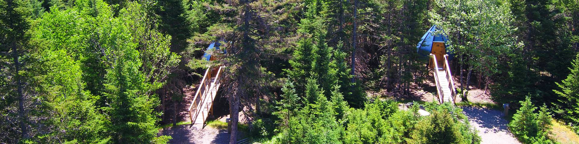 Ôasis - Parc National Fundy