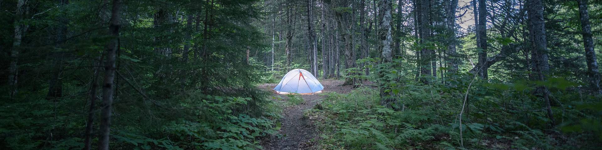 Une tente dans la forêt