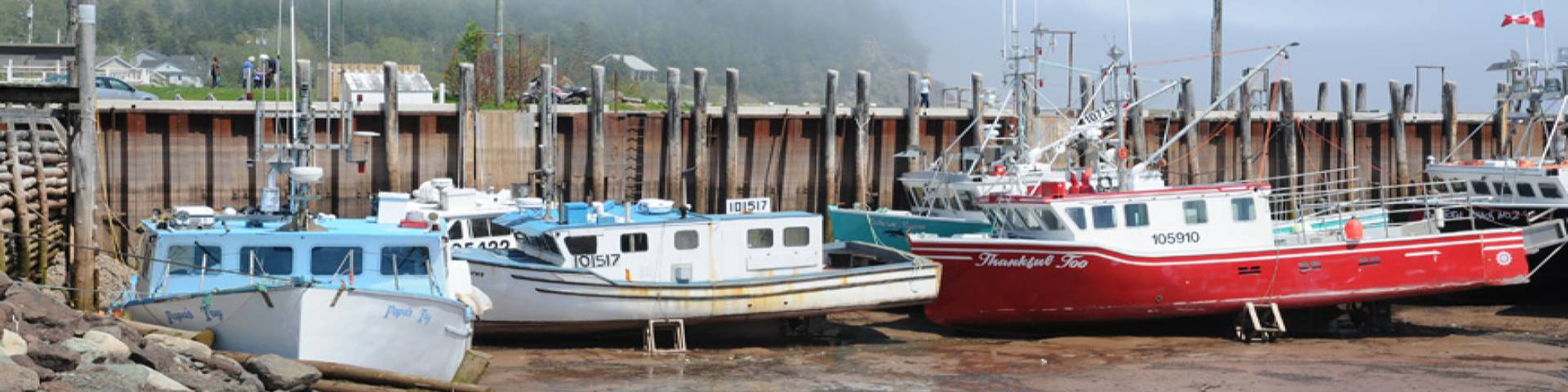Fishing boats of the Alma village warf sitting on the ocean floor at low tide"