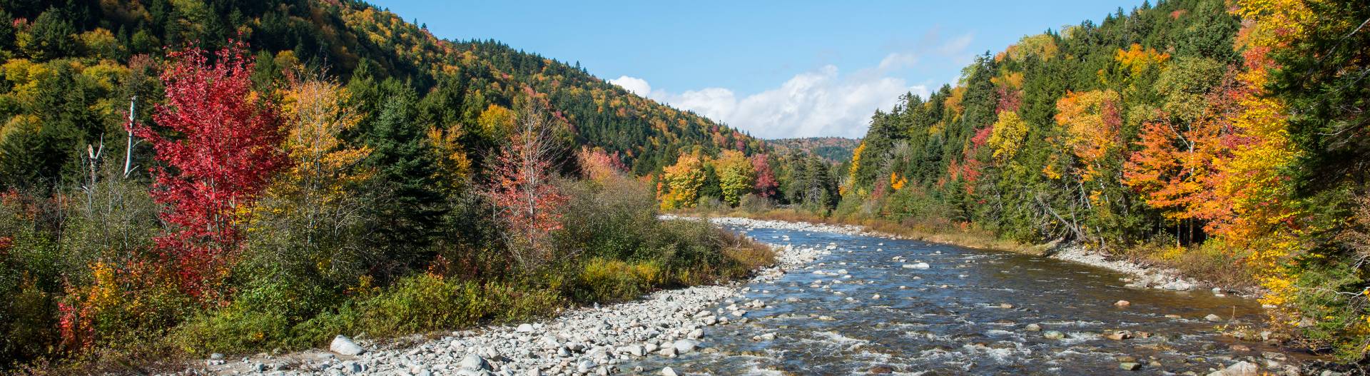 Une rivière en automne