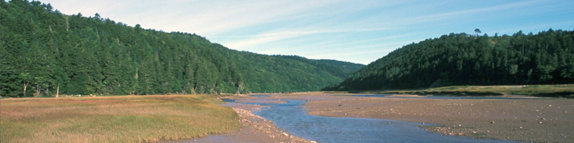 Rivière Upper Salmon
