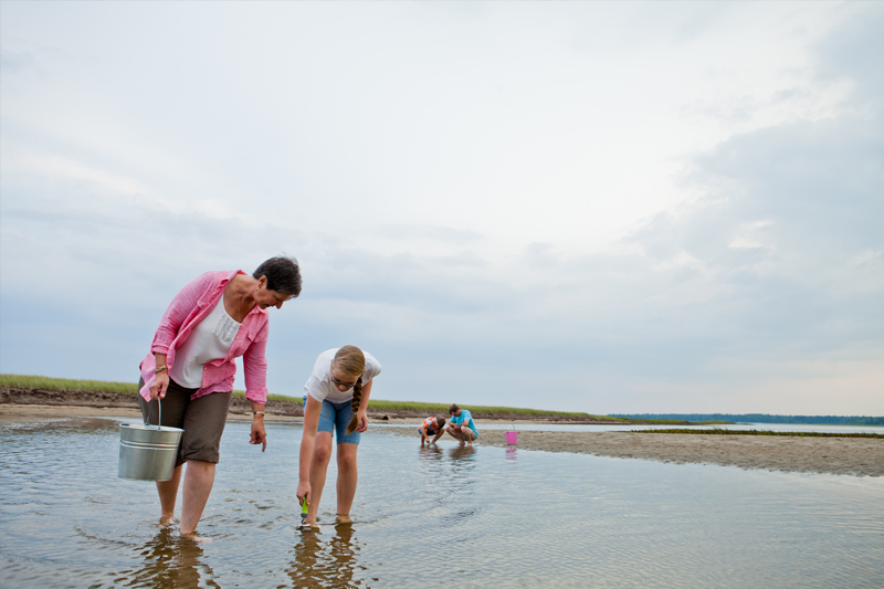 A family digging clams