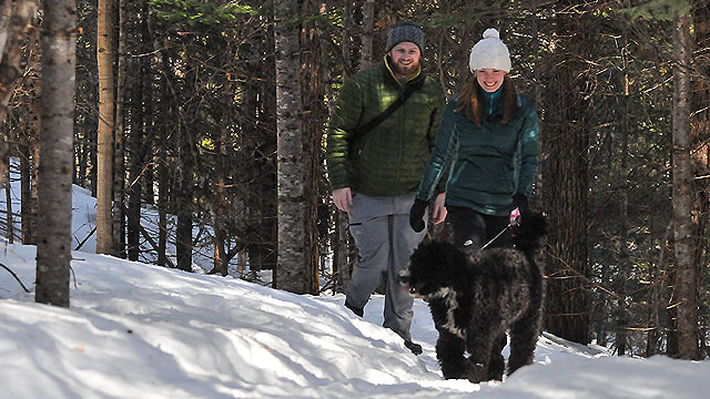 Un couple marche avec leur chien en forêt en hiver.