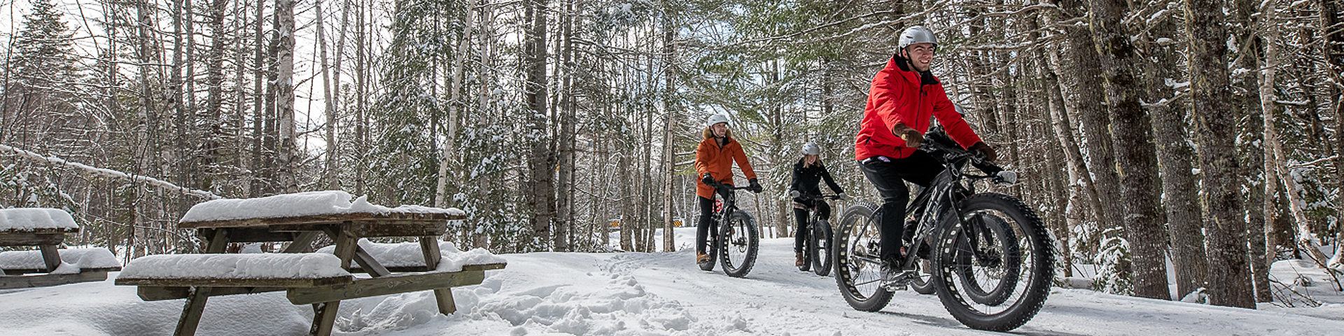 Cyclists on fat bikes in the snow, in the forest