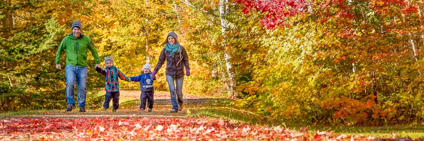 Une jeune famille en randonnée dans la forêt en automne