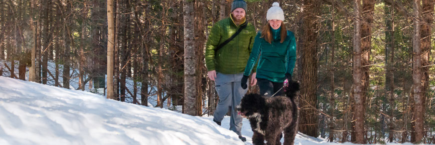 A man, woman and their dog walking on a snowy trail