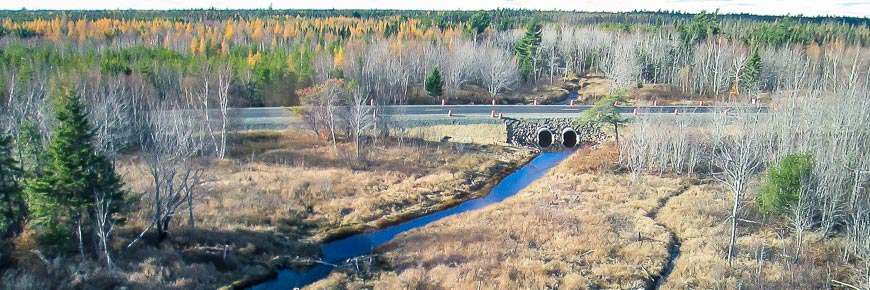 A view of a bridge going over a river
