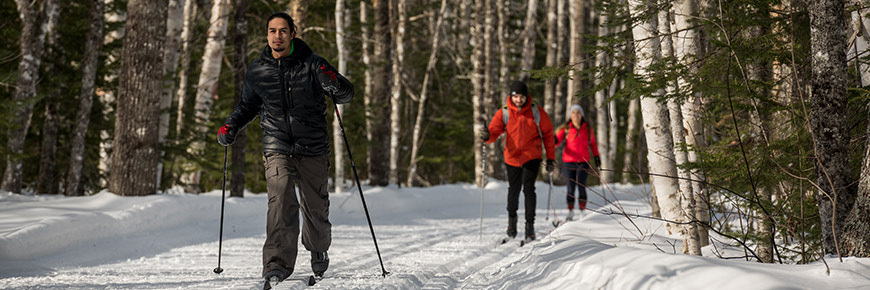 A group of friends cross country skiing in the forest