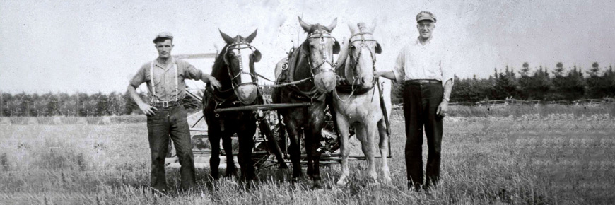 Two men and three horses in a vintage photograph