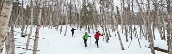 X-Country Skiing in Gros Morne