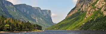Boat tours on Western Brook fjord