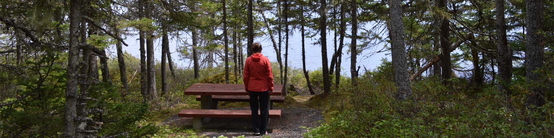 an individual in a red jacket stands next to a picnic table in a pond-side forest