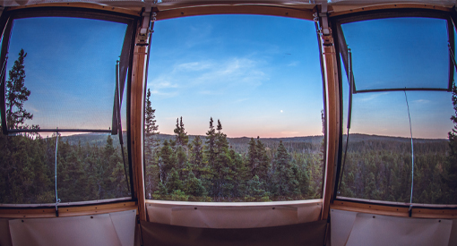 view of treetops through a window