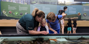 an adult and a child taking a tour of the touch tank with a Parks Canada employee