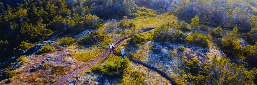 an aerial view of two people hiking on a path