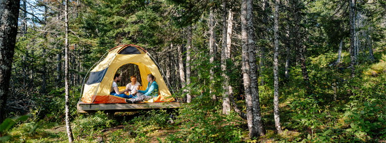 trois individus dans une tente jaune dans la forêt