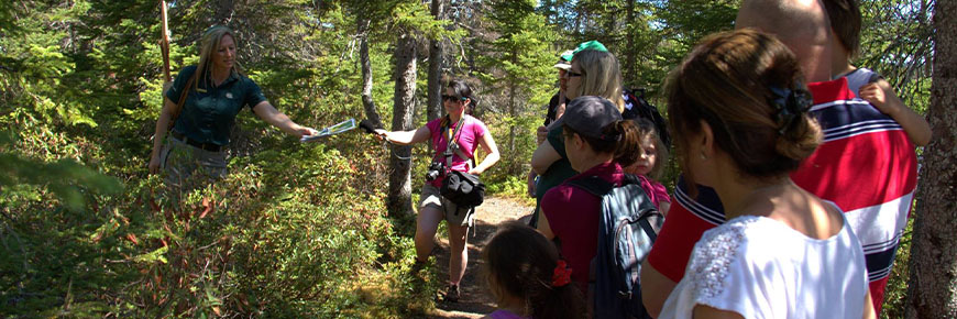 Un employé de Parcs Canada montre des plantes à un groupe de visiteurs lors d'une promenade guidée dans la forêt.