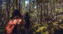 two girls hiking in the forest / deux filles marchant dans la forêt