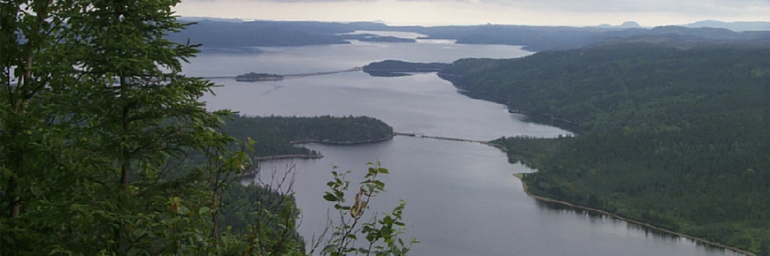 Malady Head Trail - Terra Nova National Park