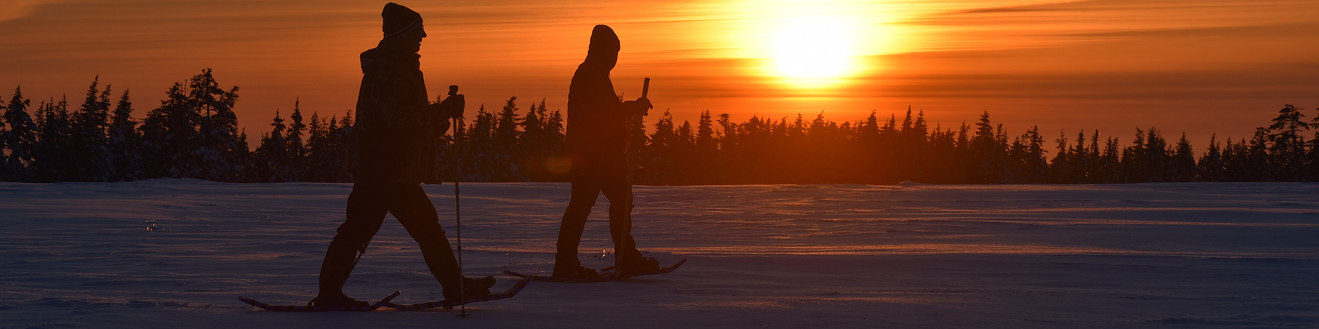 People snowshoeing at twilight