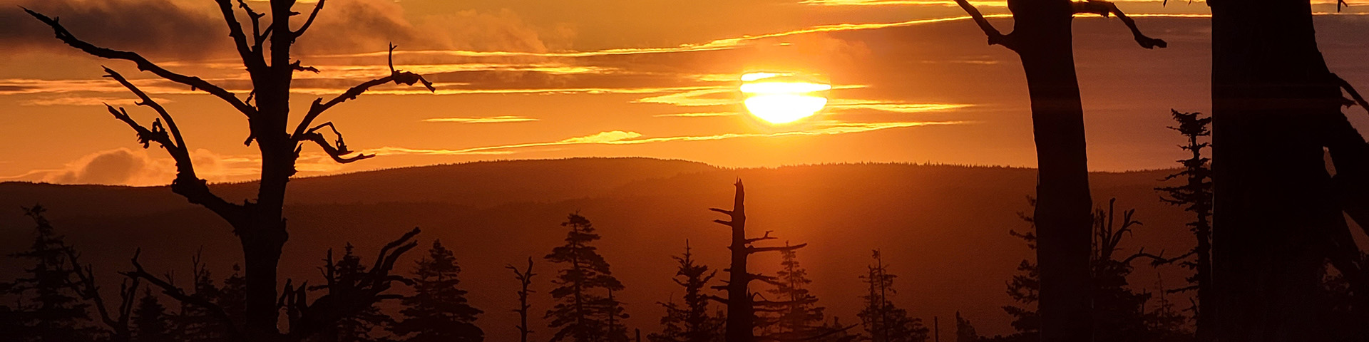 A bright orange sun sets just above the silhouette of a mountain range with softwood and hardwood trees in the foreground