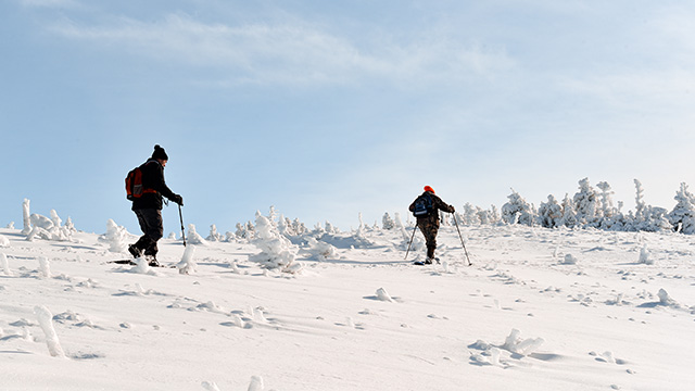 Two people holding poles snowshoe on top of snow on a sunny winter's day