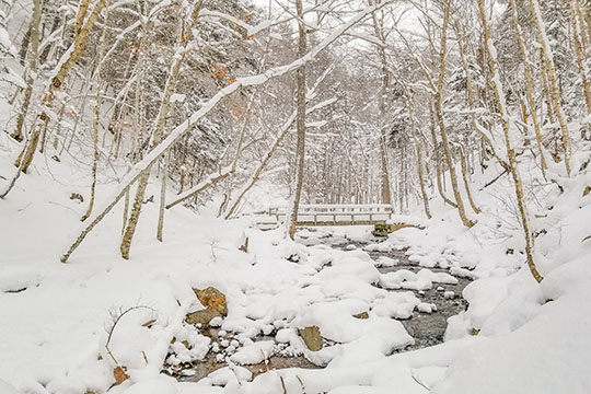 A snow covered bridge over a brook in the forest