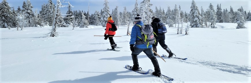 three persons snowshoeing