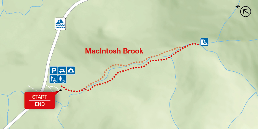 Map: MacIntosh Brook