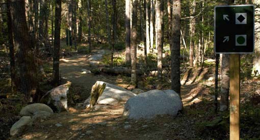 Photo of the trail in the background with an image in the foreground showing the symbols for trail the level of difficulty which include: a green circle for easy, a black diamond for difficult, and two black diamonds for extremely difficult.