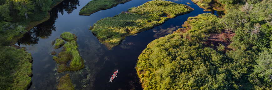 Aerial of lake passages through green vegetation and paddlers on the water