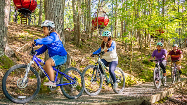 Une famille se promène à vélo dans la forêt. 