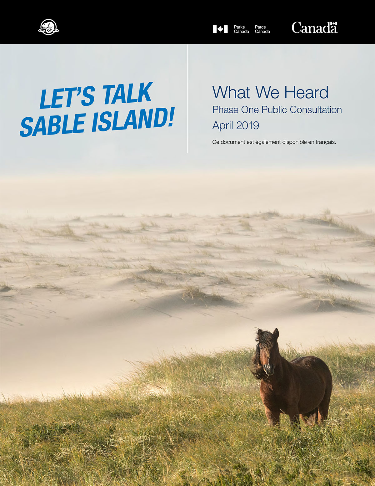 A horse on a beach. Text: Lets Talk Sable Island! What We Heard Phase One Public Consultation April 2019