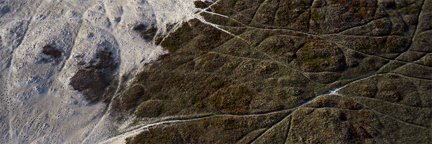 Aerial view of horse trails at sable island national park reserve