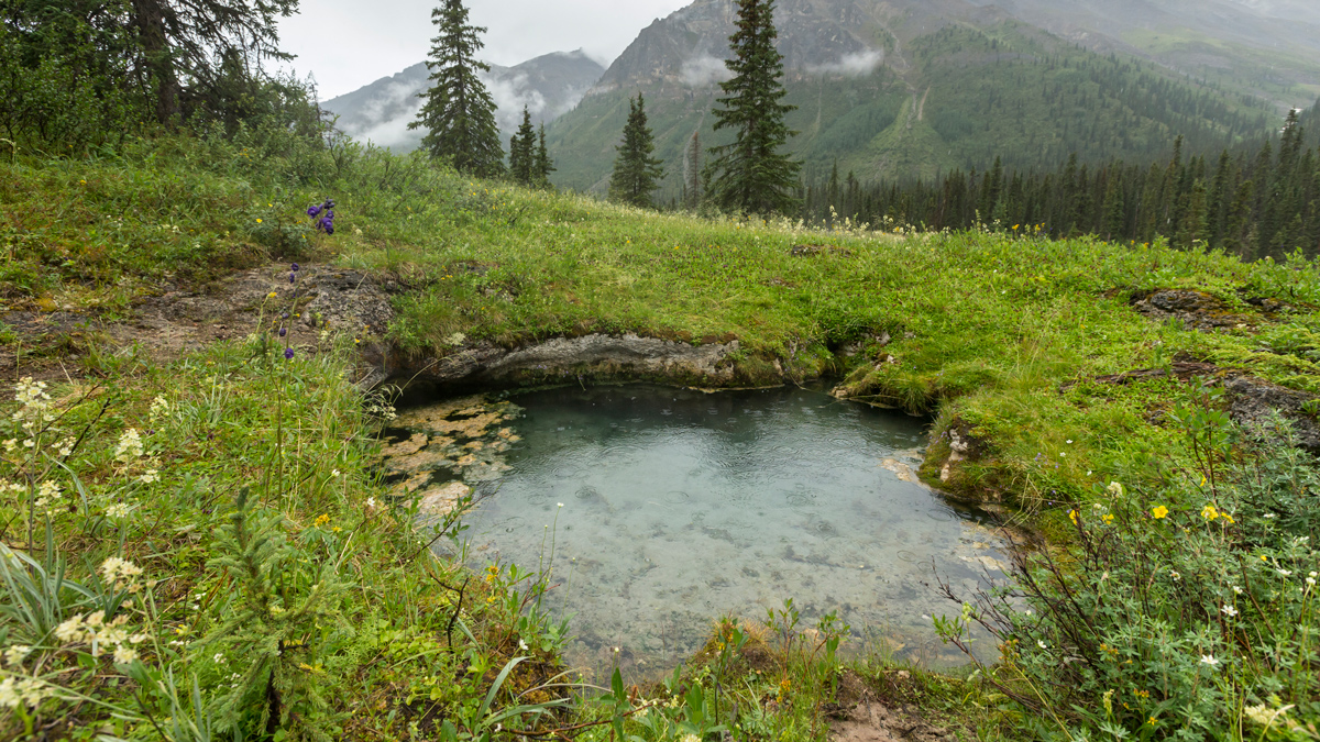 Sadéé Shúh Gaǫfáá (sources thermales Grizzly Bear) ©Fritz Muller Visuals/Parcs Canada
