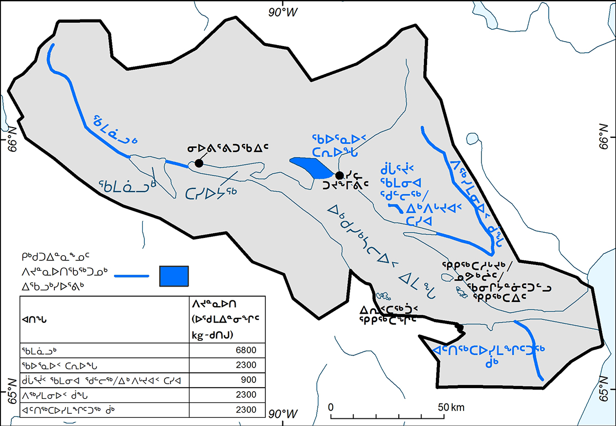 A map of Ukkusiksalik National Park, detailing commercial fishing quotas related to specific areas in the park. The quota areas are identified in blue