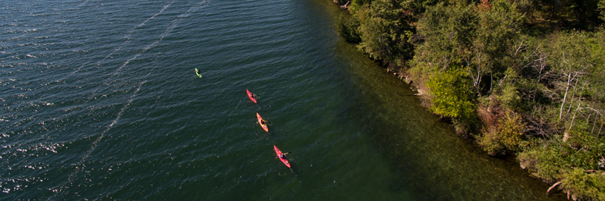 A group paddles kayaks along the shoreline