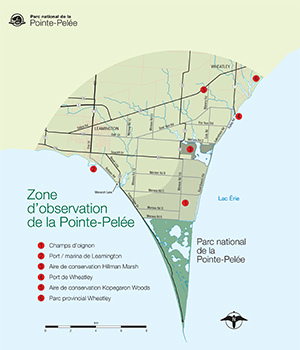 Cette carte téléchargeable indique les meilleurs endroits pour observer les oiseaux à l’extérieur du parc national du Canada de la Pointe-Pelée.