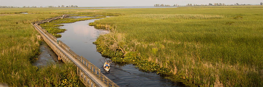 Point Pelee National Park