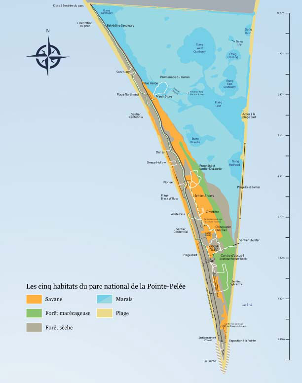 Carte géographique démontrant les cinq écosystèmes distincts du parc national de la Pointe-Pelée : savane, marais, forêt marécageuse, forêt sèche, plage.