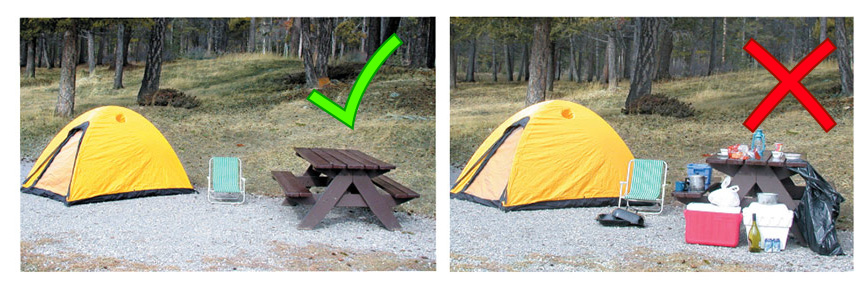 Exemples de camping propre et pas propre