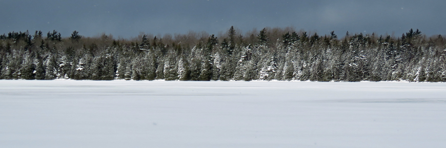 Neige couvrant un lac et des arbres.