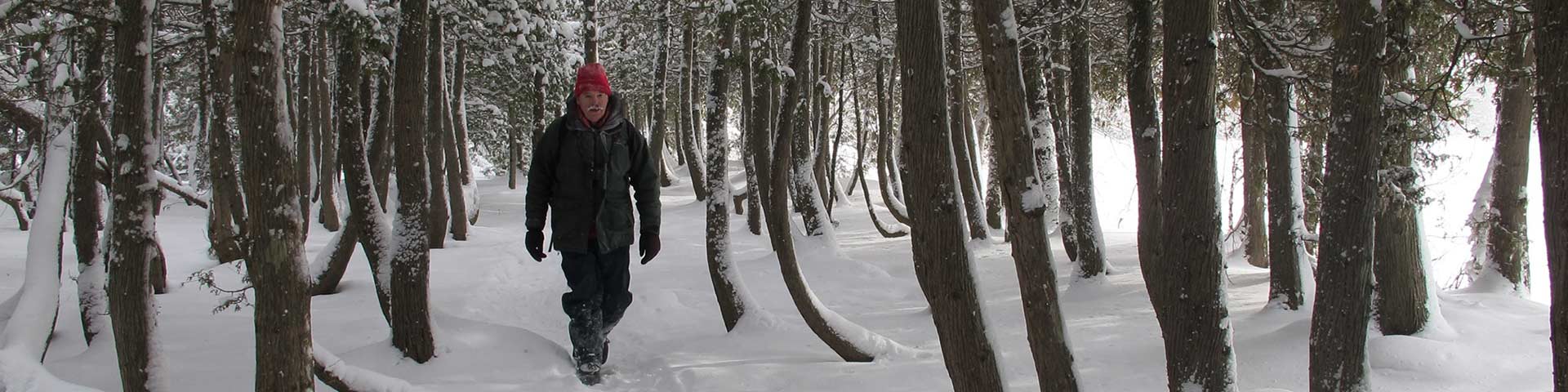 A man snowshoes through the snow. 