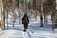 A person snowshoeing on a trail