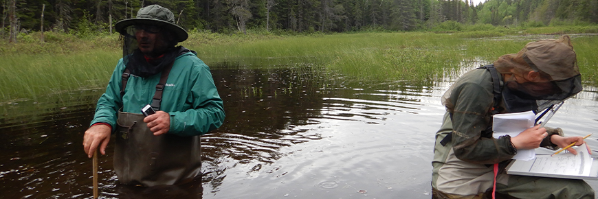 A. Behnamian (left) and C. Irvine (right) collecting water depth information in an open water wetland near Louie Lake.