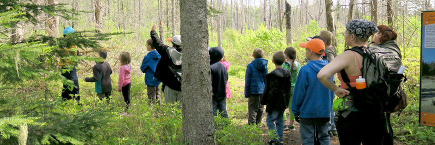 Enfants sur une randonnée guidée à travers la forêt.