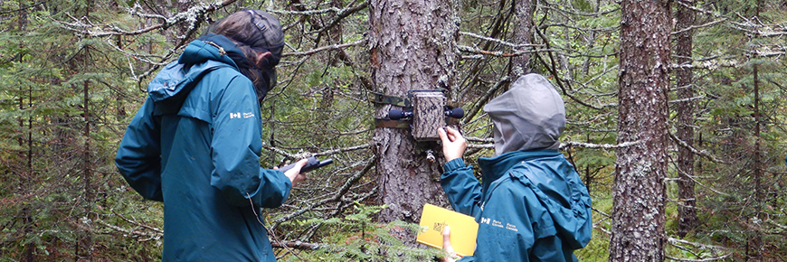 Parks Canada staff setting up an automated recording unit in June to collect data on breeding bird species.
