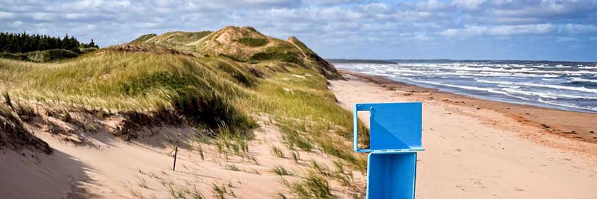 A blue Coastie installation overlooking a PEI National Park beach with a green, grassy dune to the left. 